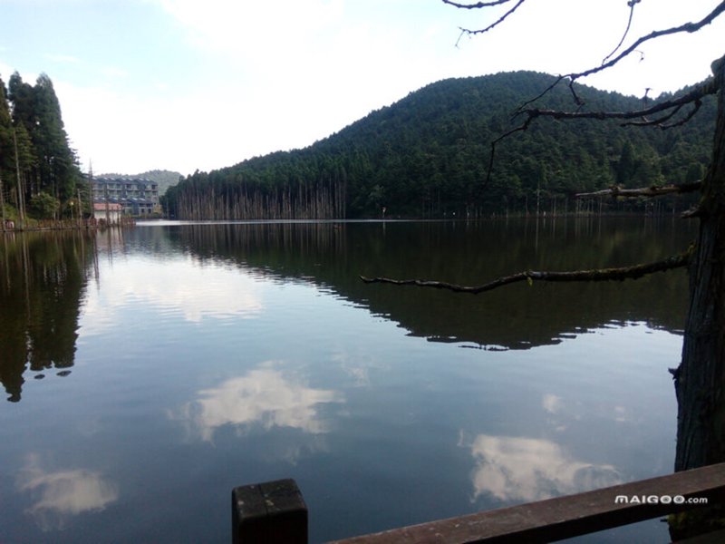厦门出入境检验检疫局国际旅行卫生保健中心，为您保驾护航